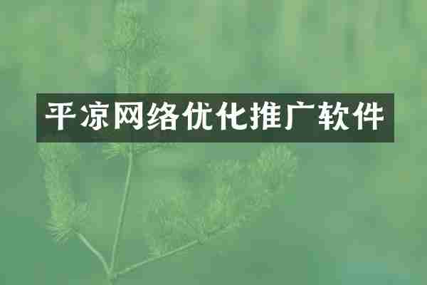 平凉网络优化推广软件