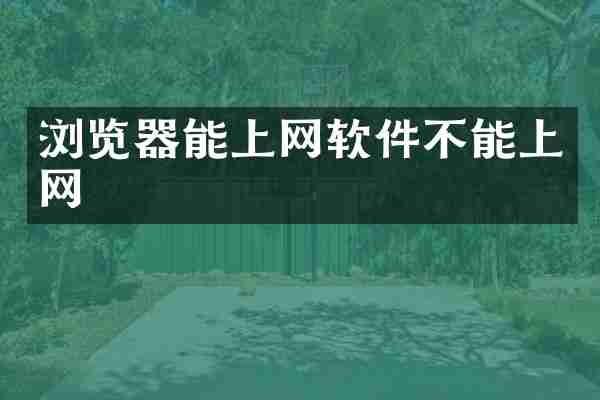 浏览器能上网软件不能上网