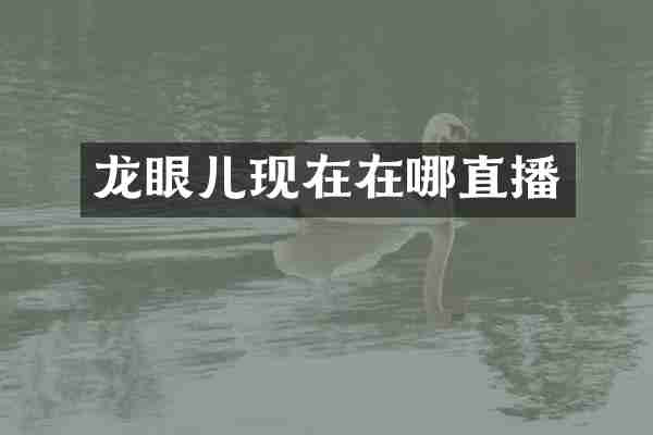 龙眼儿现在在哪直播