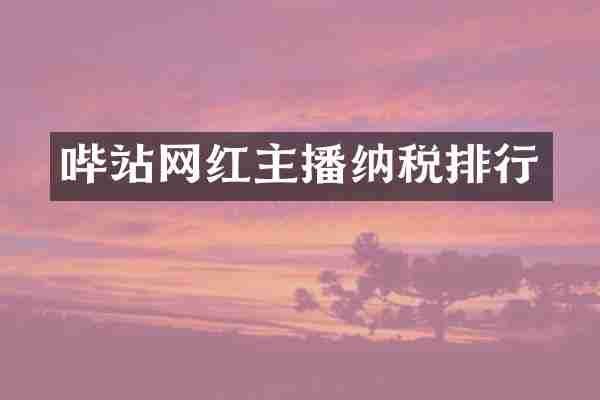 哔站网红主播纳税排行