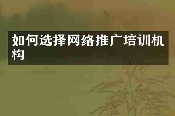 如何选择网络推广培训机构