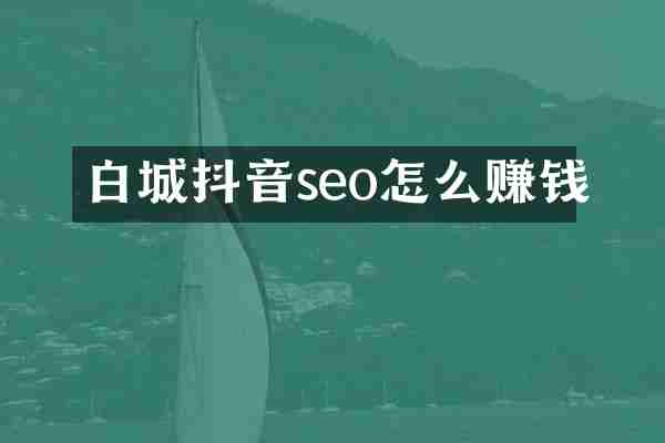 白城抖音seo怎么赚钱
