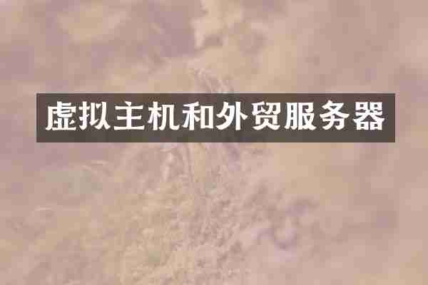 虚拟主机和外贸服务器