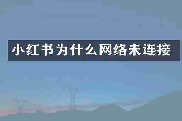 小红书为什么网络未连接