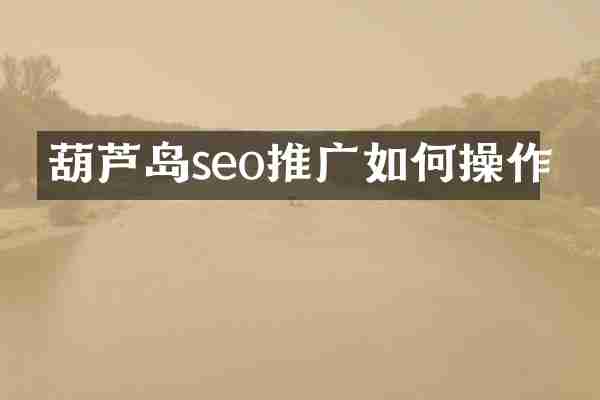 葫芦岛seo推广如何操作