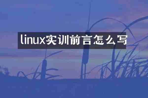 linux实训前言怎么写