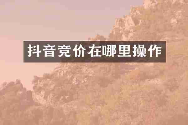 抖音竞价在哪里操作
