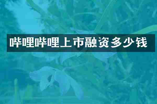 哔哩哔哩上市融资多少钱