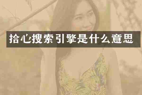拾心搜索引擎是什么意思
