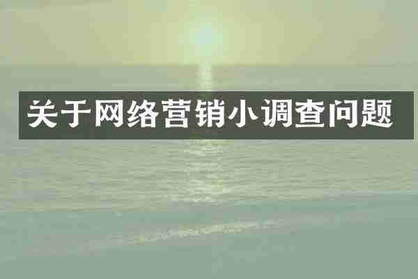 关于网络营销小调查问题