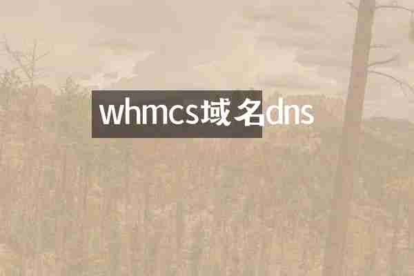 whmcs域名dns