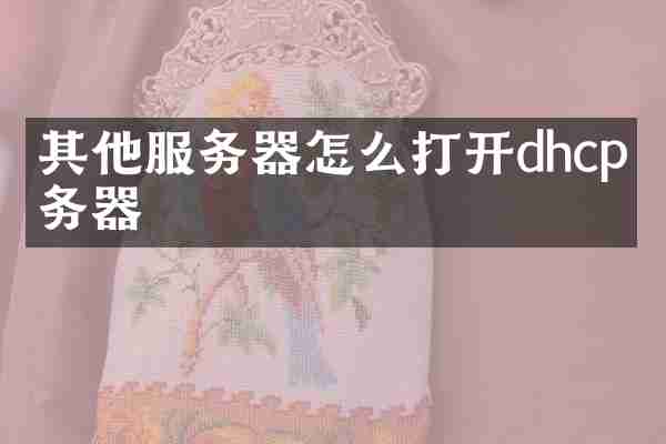 其他服务器怎么打开dhcp服务器