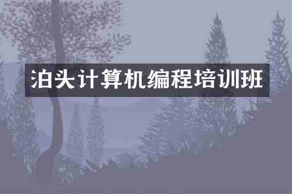 泊头计算机编程培训班