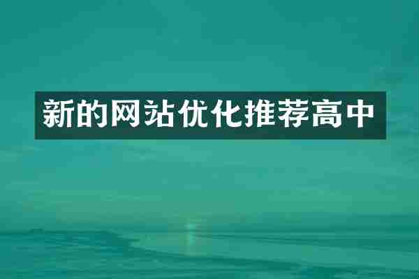 新的网站优化推荐高中