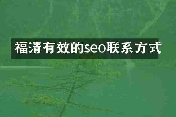 福清有效的seo联系方式