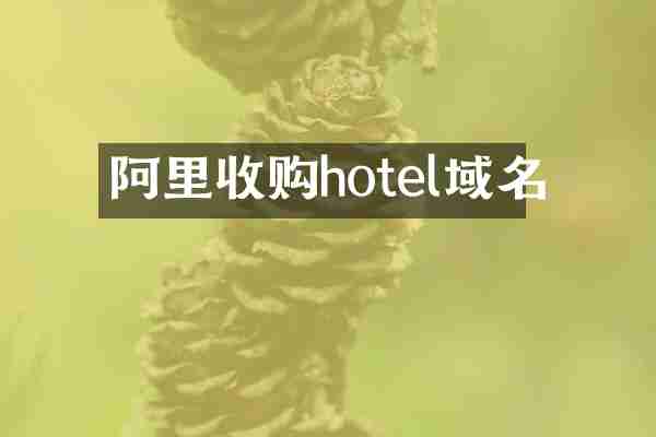 阿里收购hotel域名