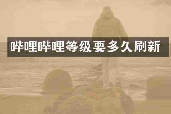 哔哩哔哩等级要多久刷新