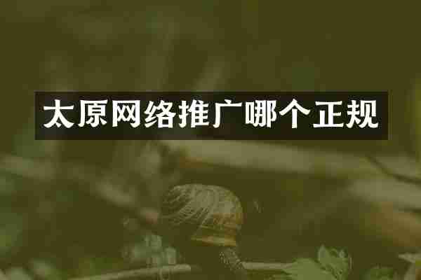 太原网络推广哪个正规