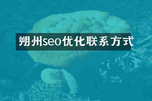 朔州seo优化联系方式