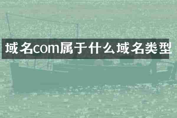 域名com属于什么域名类型