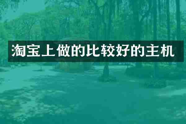 淘宝上做的比较好的主机