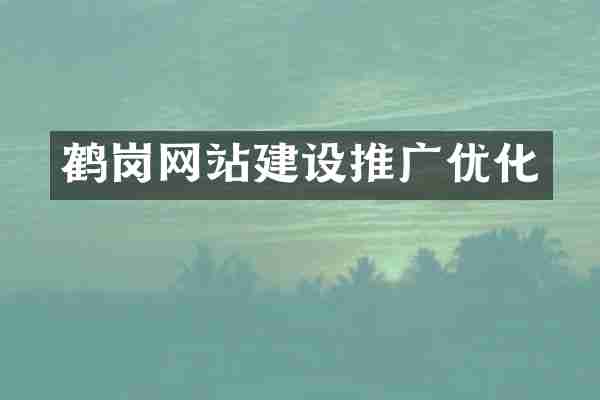 鹤岗网站建设推广优化