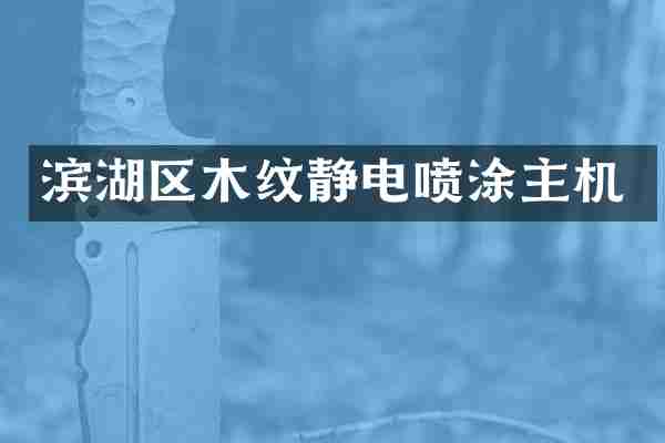 滨湖区木纹静电喷涂主机