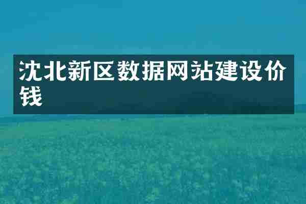 沈北新区数据网站建设价钱