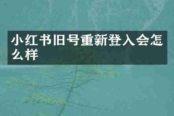 小红书旧号重新登入会怎么样