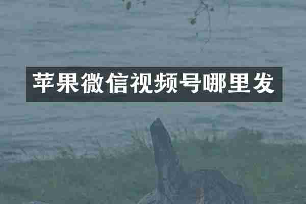 苹果微信视频号哪里发