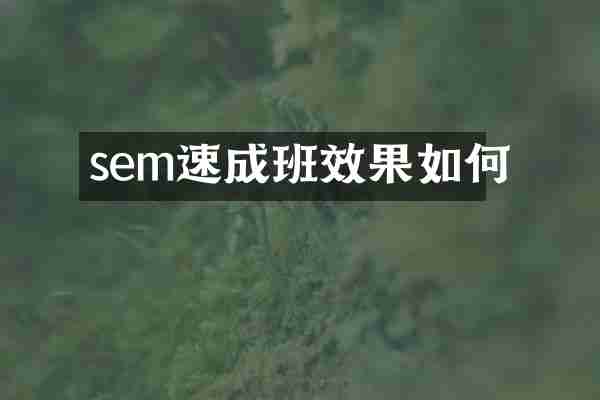 sem速成班效果如何