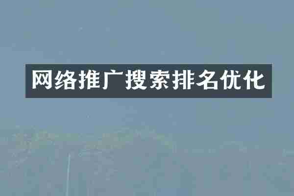 网络推广搜索排名优化