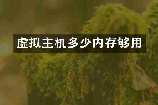虚拟主机多少内存够用