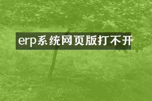 erp系统网页版打不开