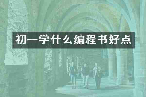 初一学什么编程书好点