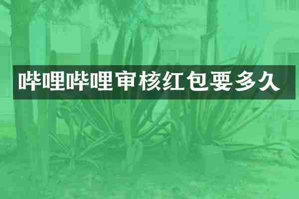 哔哩哔哩审核红包要多久