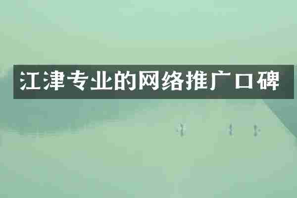 江津专业的网络推广口碑