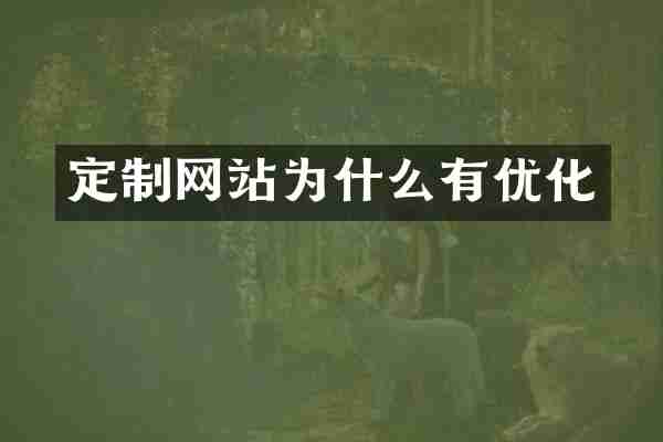 定制网站为什么有优化