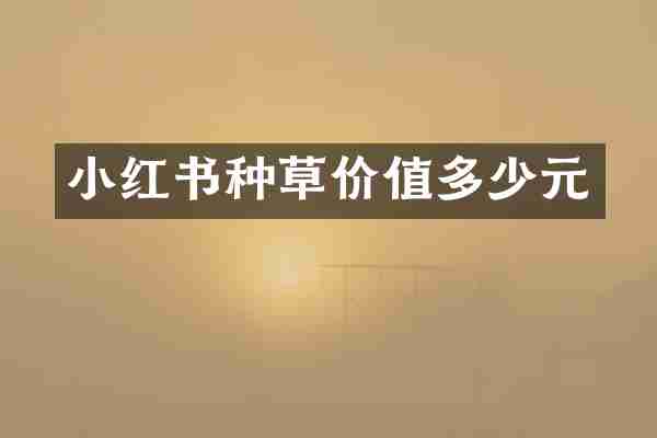 小红书种草价值多少元