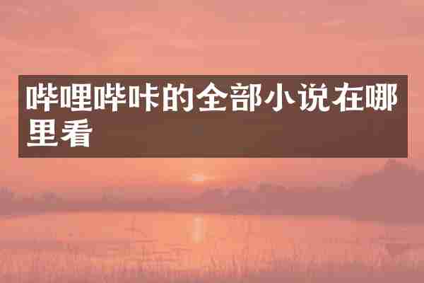 哔哩哔咔的全部小说在哪里看