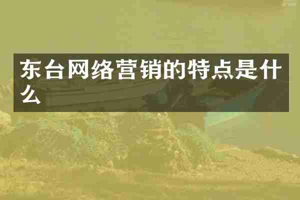 东台网络营销的特点是什么