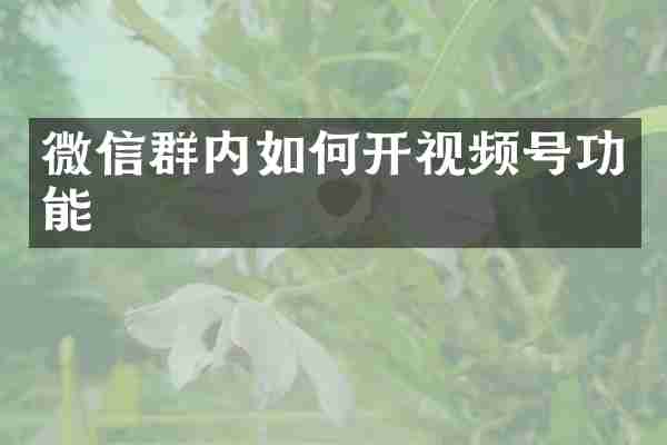 微信群内如何开视频号功能