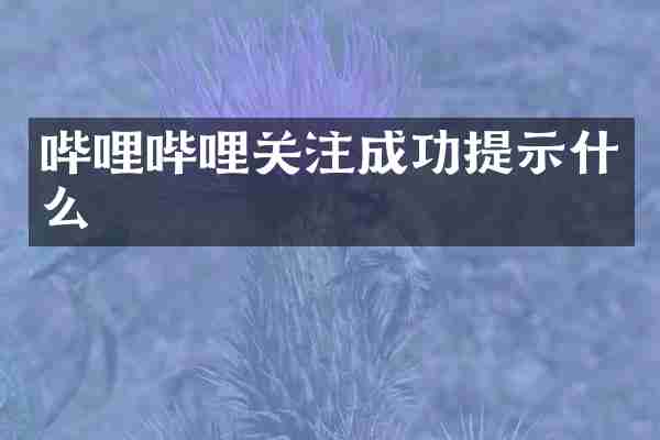 哔哩哔哩关注成功提示什么