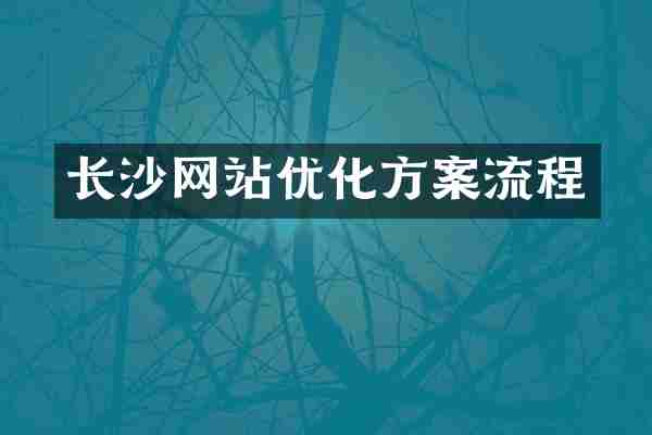 长沙网站优化方案流程