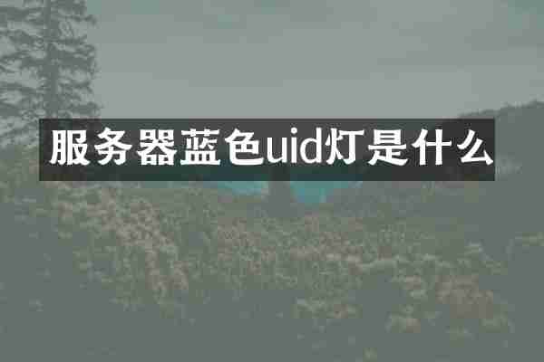 服务器蓝色uid灯是什么