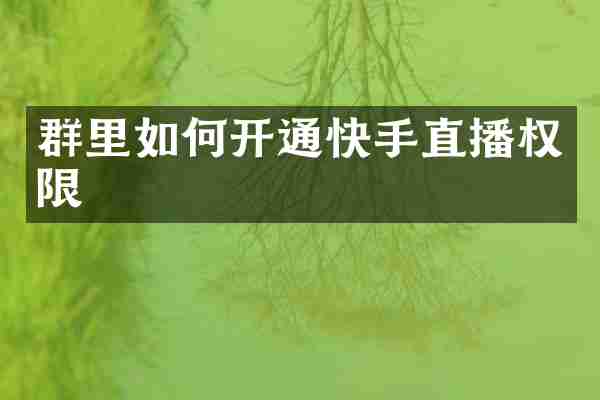 群里如何开通快手直播权限