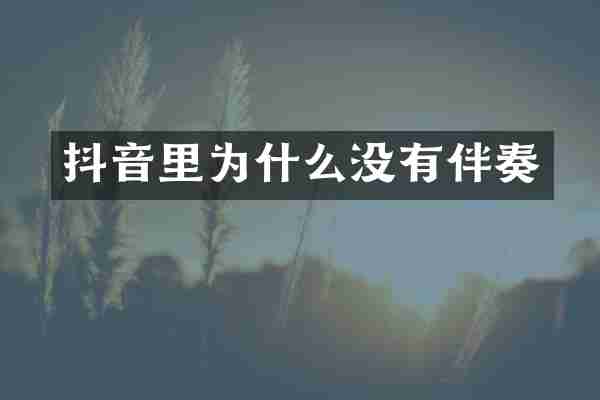 抖音里为什么没有伴奏