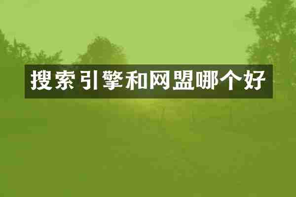 搜索引擎和网盟哪个好