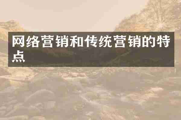 网络营销和传统营销的特点