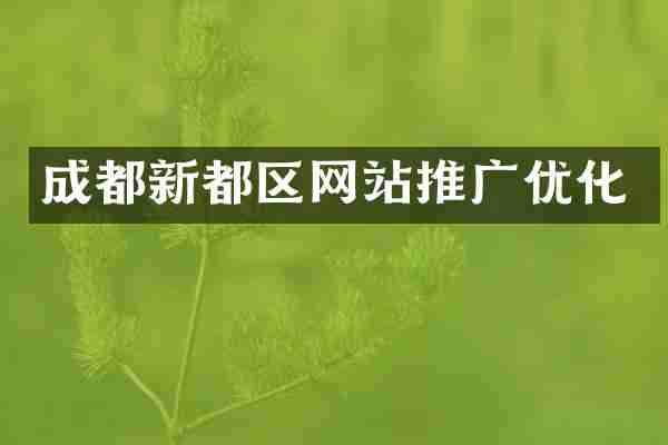 成都新都区网站推广优化
